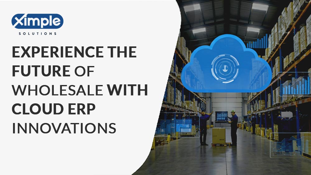 Cloud ERP for Wholesale Distribution